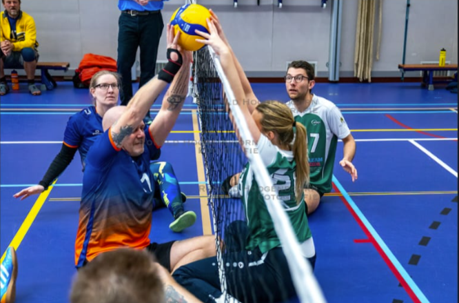 Zitvolleybaltrainer gezocht